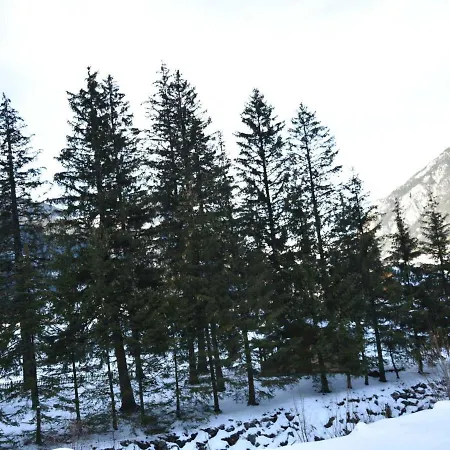 L'ourse Avec Chalet